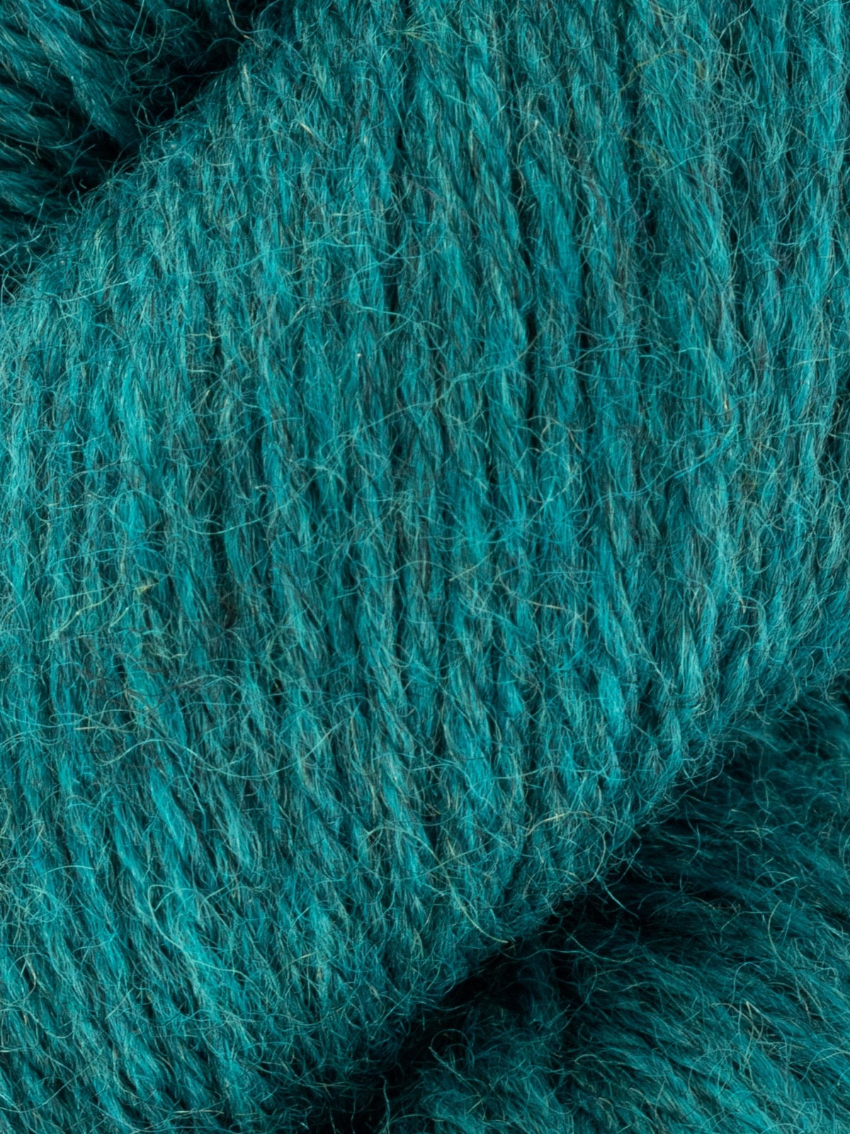 West Yorkshire Spinners Fleece BFL DK