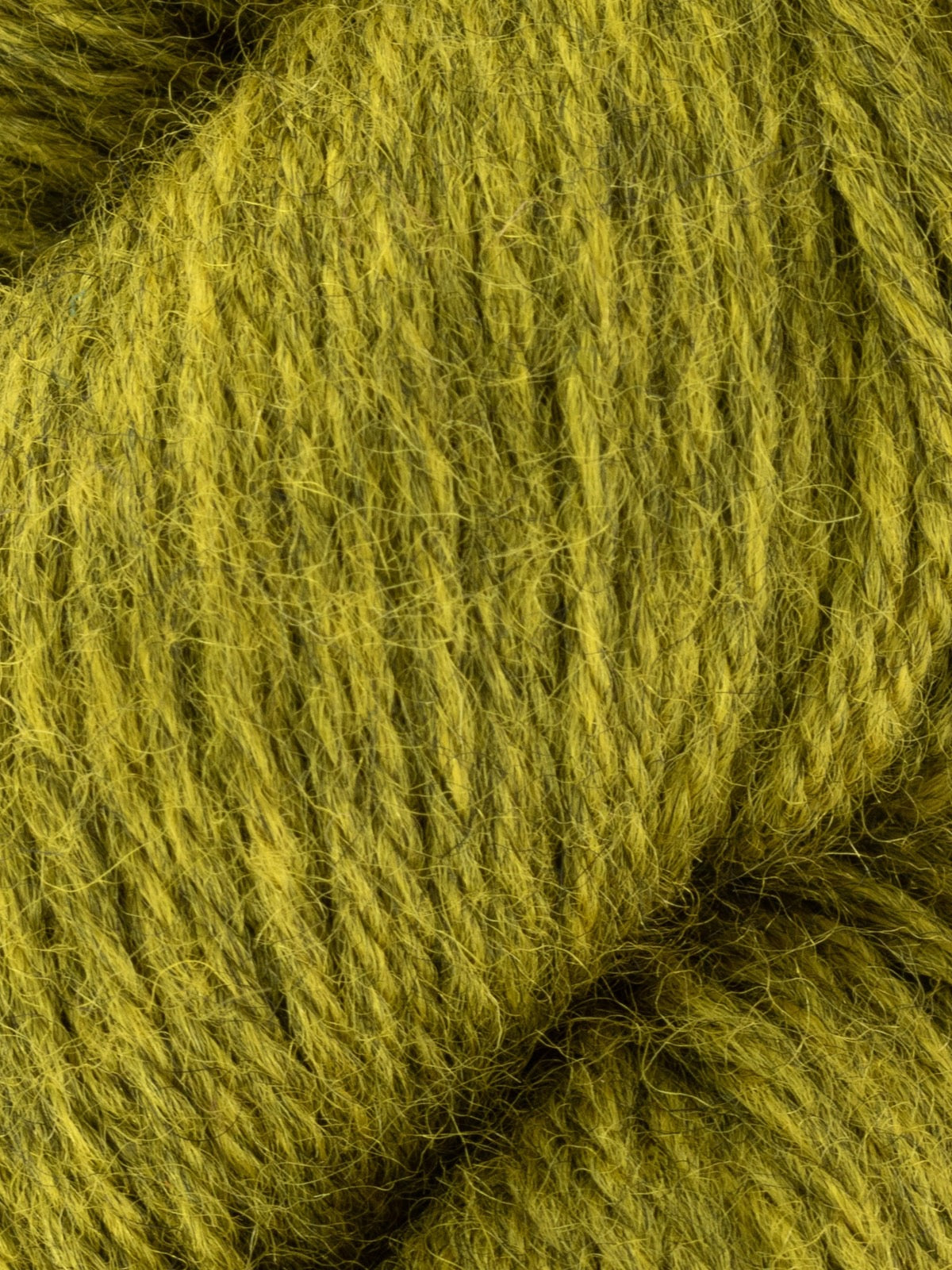 West Yorkshire Spinners Fleece BFL DK