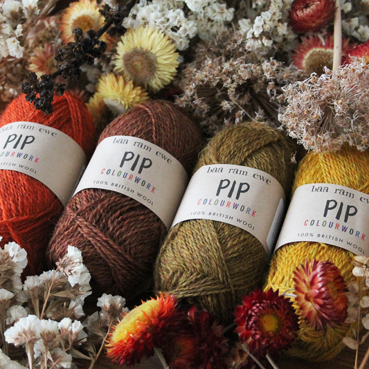 Baa ram ewe Pip Colourwok 4-ply 25g